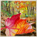 Fall Colors